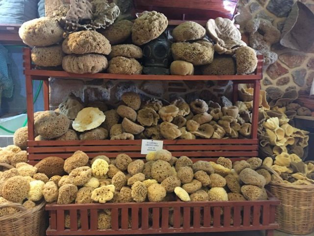 KOS-KALYMNOS-PSERIMOS-PLATİ TURU 2026