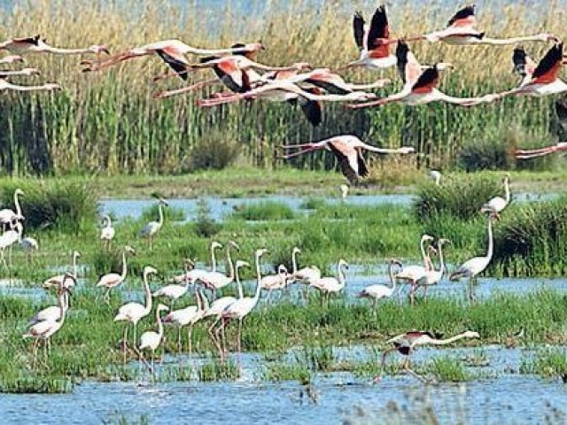 ERDEK AVŞA ADASI TURU 2 GECE 2026