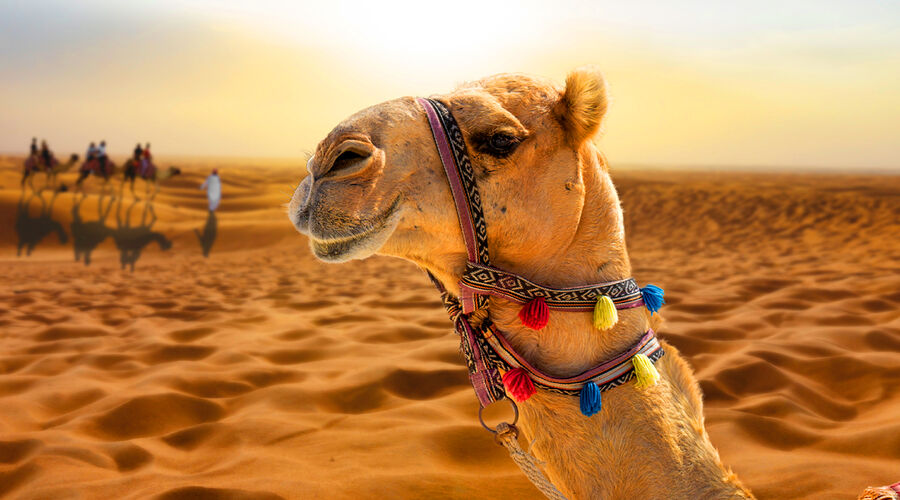 DUBAI  ABU DHABI TURU (4 GECE KONAKLAMALI) 2026