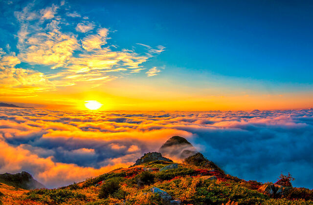 UÇAKLI BATUMLU KARADENİZ TURU 2026