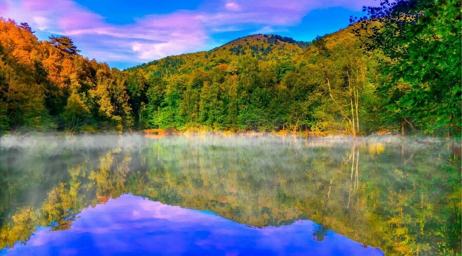 ŞİLE AĞVA ABANT YEDİGÖLLER GÖLCÜK MAŞUKİYE ORMANYA TURU 2026