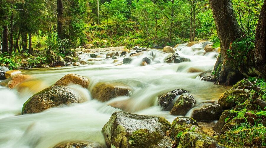 BATUM KONAKLAMALI KEYİF KARADENİZ TURU 2026